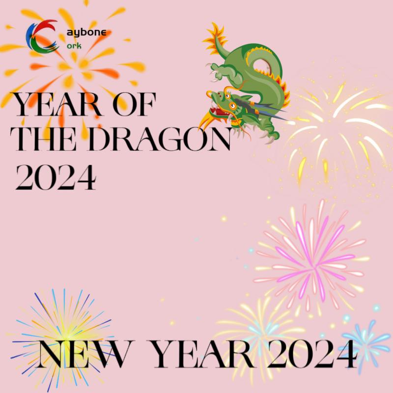 2024 жыл келе жатыр!